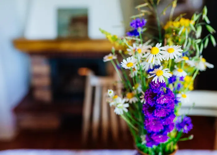 Pod Bukami Lodge Szymbark (Pomerania)